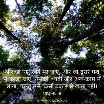 Picture 03 - लैव्यव्यवस्था 7:24 HINIRV - और जो पशु स्वयं मर - Bible Verse Picture