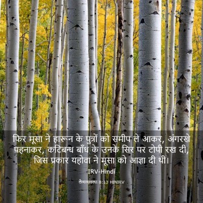 Picture 03 - लैव्यव्यवस्था 8:13 HINIRV - फिर मूसा ने हारून - Bible Verse Picture