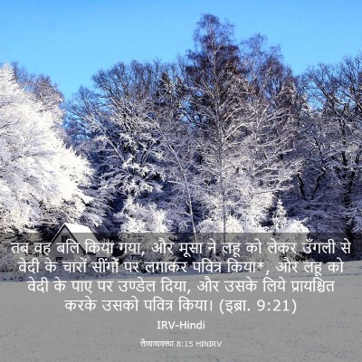 Picture 03 - लैव्यव्यवस्था 8:15 HINIRV - तब वह बलि किया गया, - Bible Verse Picture