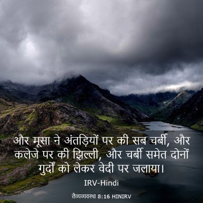 Picture 03 - लैव्यव्यवस्था 8:16 HINIRV - और मूसा ने - Bible Verse Picture