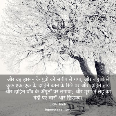 Picture 03 - लैव्यव्यवस्था 8:24 HINIRV - और वह हारून के - Bible Verse Picture