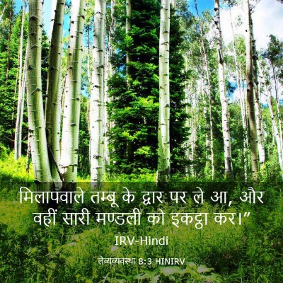 Picture 03 - लैव्यव्यवस्था 8:3 HINIRV - मिलापवाले तम्बू - Bible Verse Picture