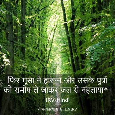 Picture 03 - लैव्यव्यवस्था 8:6 HINIRV - फिर मूसा ने हारून - Bible Verse Picture