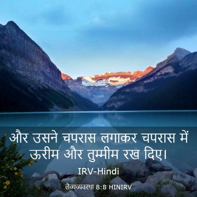 Picture 03 - लैव्यव्यवस्था 8:8 HINIRV - और उसने चपरास - Bible Verse Picture