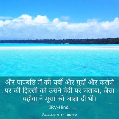 Picture 03 - लैव्यव्यवस्था 9:10 HINIRV - और पापबलि में की - Bible Verse Picture