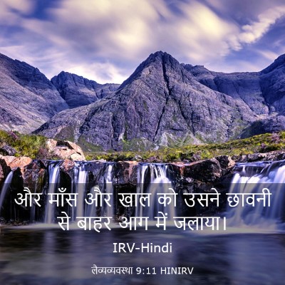 Picture 03 - लैव्यव्यवस्था 9:11 HINIRV - और माँस और खाल को - Bible Verse Picture