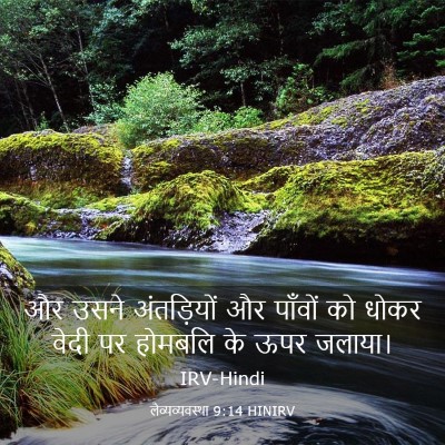 Picture 03 - लैव्यव्यवस्था 9:14 HINIRV - और उसने अंतड़ियों - Bible Verse Picture