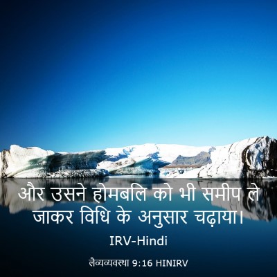 Picture 03 - लैव्यव्यवस्था 9:16 HINIRV - और उसने होमबलि को - Bible Verse Picture