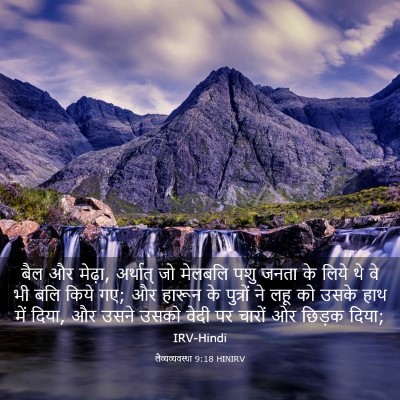 Picture 03 - लैव्यव्यवस्था 9:18 HINIRV - बैल और मेढ़ा, - Bible Verse Picture