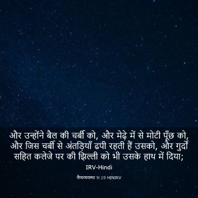 Picture 03 - लैव्यव्यवस्था 9:19 HINIRV - और उन्होंने बैल की - Bible Verse Picture