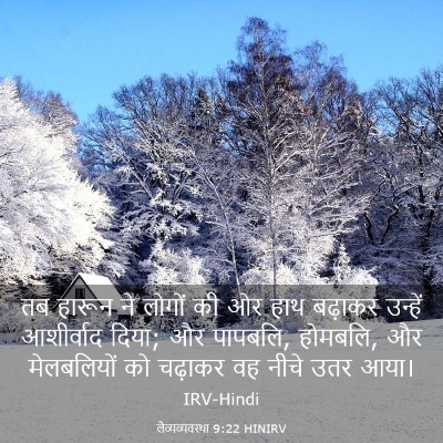 Picture 03 - लैव्यव्यवस्था 9:22 HINIRV - तब हारून ने लोगों - Bible Verse Picture