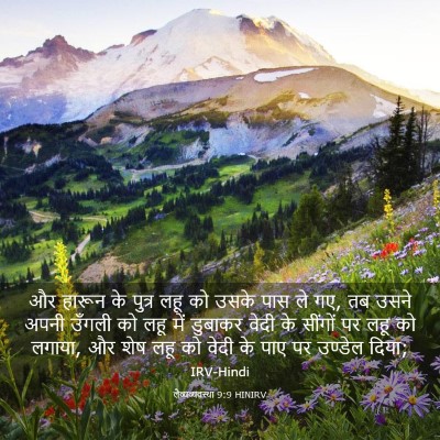 Picture 03 - लैव्यव्यवस्था 9:9 HINIRV - और हारून के पुत्र - Bible Verse Picture