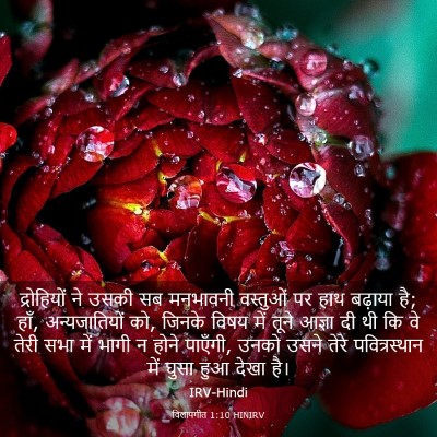 Picture 03 - विलापगीत 1:10 HINIRV - द्रोहियों ने उसकी - Bible Verse Picture
