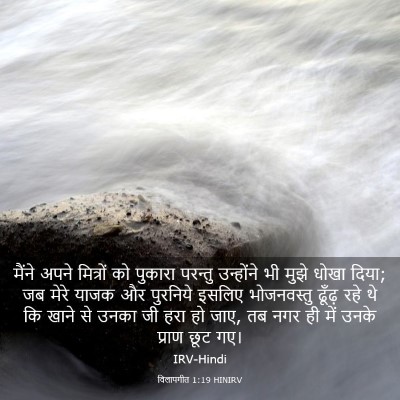 Picture 03 - विलापगीत 1:19 HINIRV - मैंने अपने - Bible Verse Picture