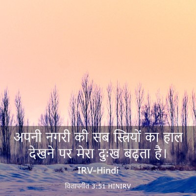 Picture 03 - विलापगीत 3:51 HINIRV - अपनी नगरी की सब - Bible Verse Picture