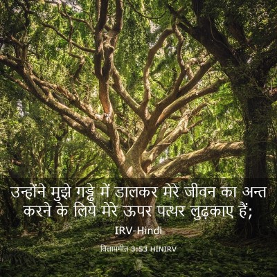 Picture 03 - विलापगीत 3:53 HINIRV - उन्होंने मुझे - Bible Verse Picture