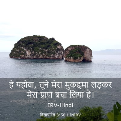 Picture 03 - विलापगीत 3:58 HINIRV - हे यहोवा, तूने मेरा - Bible Verse Picture