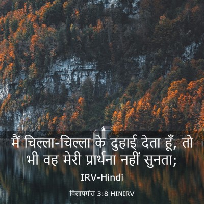 Picture 03 - विलापगीत 3:8 HINIRV - मैं चिल्ला-चिल्ला - Bible Verse Picture