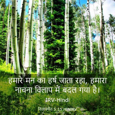 Picture 03 - विलापगीत 5:15 HINIRV - हमारे मन का हर्ष - Bible Verse Picture
