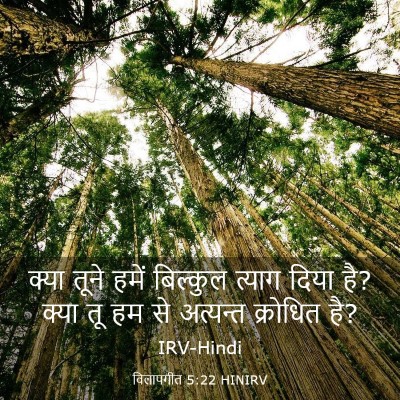 Picture 03 - विलापगीत 5:22 HINIRV - क्या तूने हमें - Bible Verse Picture