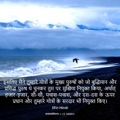 Picture 03 - व्यवस्थाविवरण 1:15 HINIRV - इसलिए मैंने - Bible Verse Picture