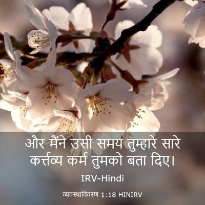 Picture 03 - व्यवस्थाविवरण 1:18 HINIRV - और मैंने उसी समय - Bible Verse Picture