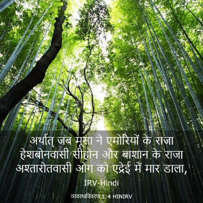 Picture 03 - व्यवस्थाविवरण 1:4 HINIRV - अर्थात् जब मूसा ने - Bible Verse Picture