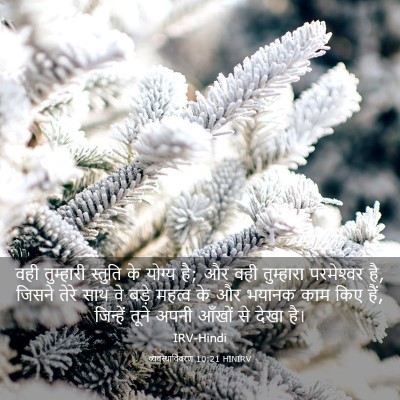 Picture 03 - व्यवस्थाविवरण 10:21 HINIRV - वही तुम्हारी - Bible Verse Picture