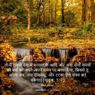 Picture 03 - व्यवस्थाविवरण 11:14 HINIRV - तो मैं तुम्हारे - Bible Verse Picture
