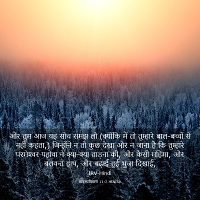 Picture 03 - व्यवस्थाविवरण 11:2 HINIRV - और तुम आज यह सोच - Bible Verse Picture