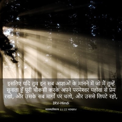 Picture 03 - व्यवस्थाविवरण 11:22 HINIRV - इसलिए यदि तुम इन सब - Bible Verse Picture