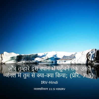 Picture 03 - व्यवस्थाविवरण 11:5 HINIRV - और तुम्हारे इस - Bible Verse Picture