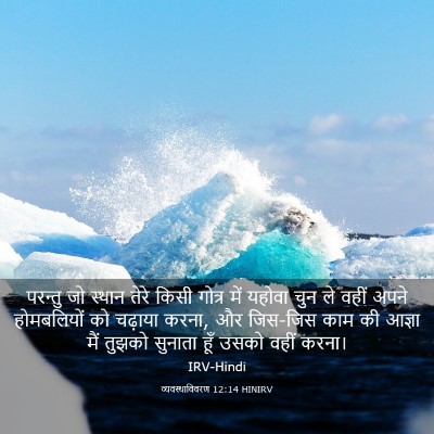 Picture 03 - व्यवस्थाविवरण 12:14 HINIRV - परन्तु जो स्थान - Bible Verse Picture