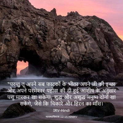 Picture 03 - व्यवस्थाविवरण 12:15 HINIRV - “परन्तु तू अपने सब - Bible Verse Picture