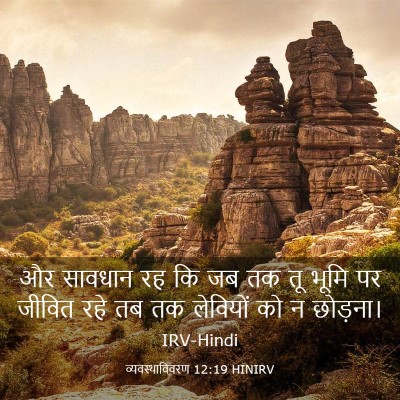 Picture 03 - व्यवस्थाविवरण 12:19 HINIRV - और सावधान रह कि जब - Bible Verse Picture