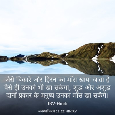 Picture 03 - व्यवस्थाविवरण 12:22 HINIRV - जैसे चिकारे और - Bible Verse Picture