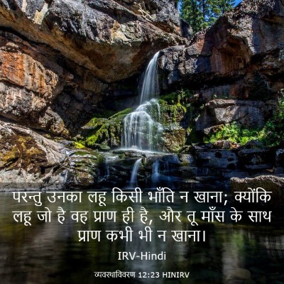 Picture 03 - व्यवस्थाविवरण 12:23 HINIRV - परन्तु उनका लहू - Bible Verse Picture