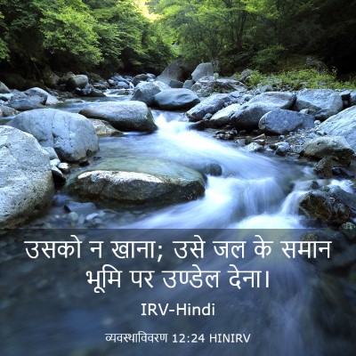 Picture 03 - व्यवस्थाविवरण 12:24 HINIRV - उसको न खाना; उसे जल - Bible Verse Picture