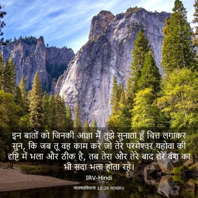 Picture 03 - व्यवस्थाविवरण 12:28 HINIRV - इन बातों को जिनकी - Bible Verse Picture