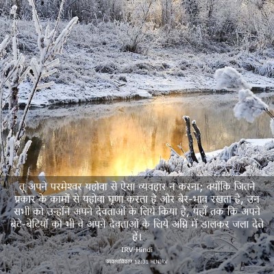 Picture 03 - व्यवस्थाविवरण 12:31 HINIRV - तू अपने परमेश्‍वर - Bible Verse Picture