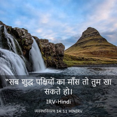 Picture 03 - व्यवस्थाविवरण 14:11 HINIRV - “सब शुद्ध - Bible Verse Picture