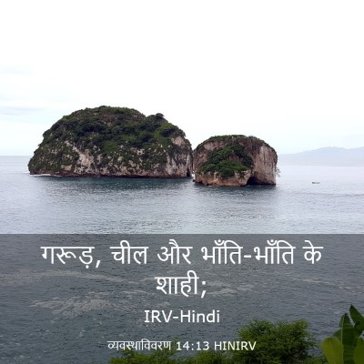Picture 03 - व्यवस्थाविवरण 14:13 HINIRV - गरूड़, चील और - Bible Verse Picture