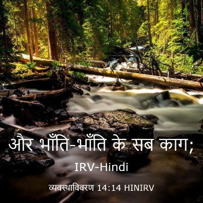 Picture 03 - व्यवस्थाविवरण 14:14 HINIRV - और भाँति-भाँति के - Bible Verse Picture