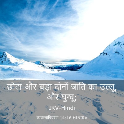 Picture 03 - व्यवस्थाविवरण 14:16 HINIRV - छोटा और बड़ा दोनों - Bible Verse Picture