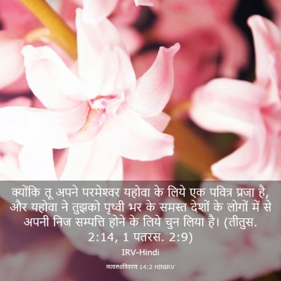 Picture 03 - व्यवस्थाविवरण 14:2 HINIRV - क्योंकि तू अपने - Bible Verse Picture