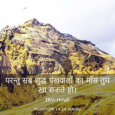 Picture 03 - व्यवस्थाविवरण 14:20 HINIRV - परन्तु सब शुद्ध - Bible Verse Picture