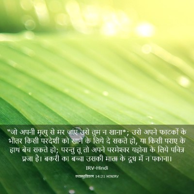 Picture 03 - व्यवस्थाविवरण 14:21 HINIRV - “जो अपनी मृत्यु से - Bible Verse Picture