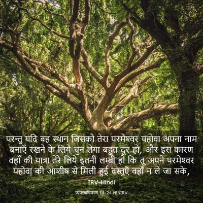 Picture 03 - व्यवस्थाविवरण 14:24 HINIRV - परन्तु यदि वह - Bible Verse Picture