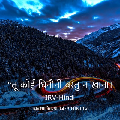 Picture 03 - व्यवस्थाविवरण 14:3 HINIRV - “तू कोई घिनौनी - Bible Verse Picture