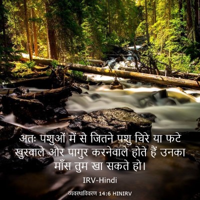 Picture 03 - व्यवस्थाविवरण 14:6 HINIRV - अतः पशुओं में से - Bible Verse Picture